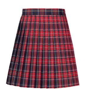 Skirt in Plaid 56